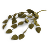Felted Branches