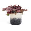 Aveva Design Wool Cylindrical Ombre Flower Pot