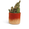 Aveva Design Wool Cylindrical Ombre Flower Pot