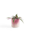 Aveva Design Wool Cylindrical Ombre Flower Pot