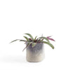 Aveva Design Wool Cylindrical Ombre Flower Pot