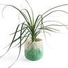 Aveva Design Wool Cylindrical Ombre Flower Pot
