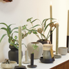 Ania Vase By Lubech Living