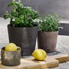 Terracotta Conical By Lubech Living