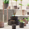 Terracotta Conical By Lubech Living