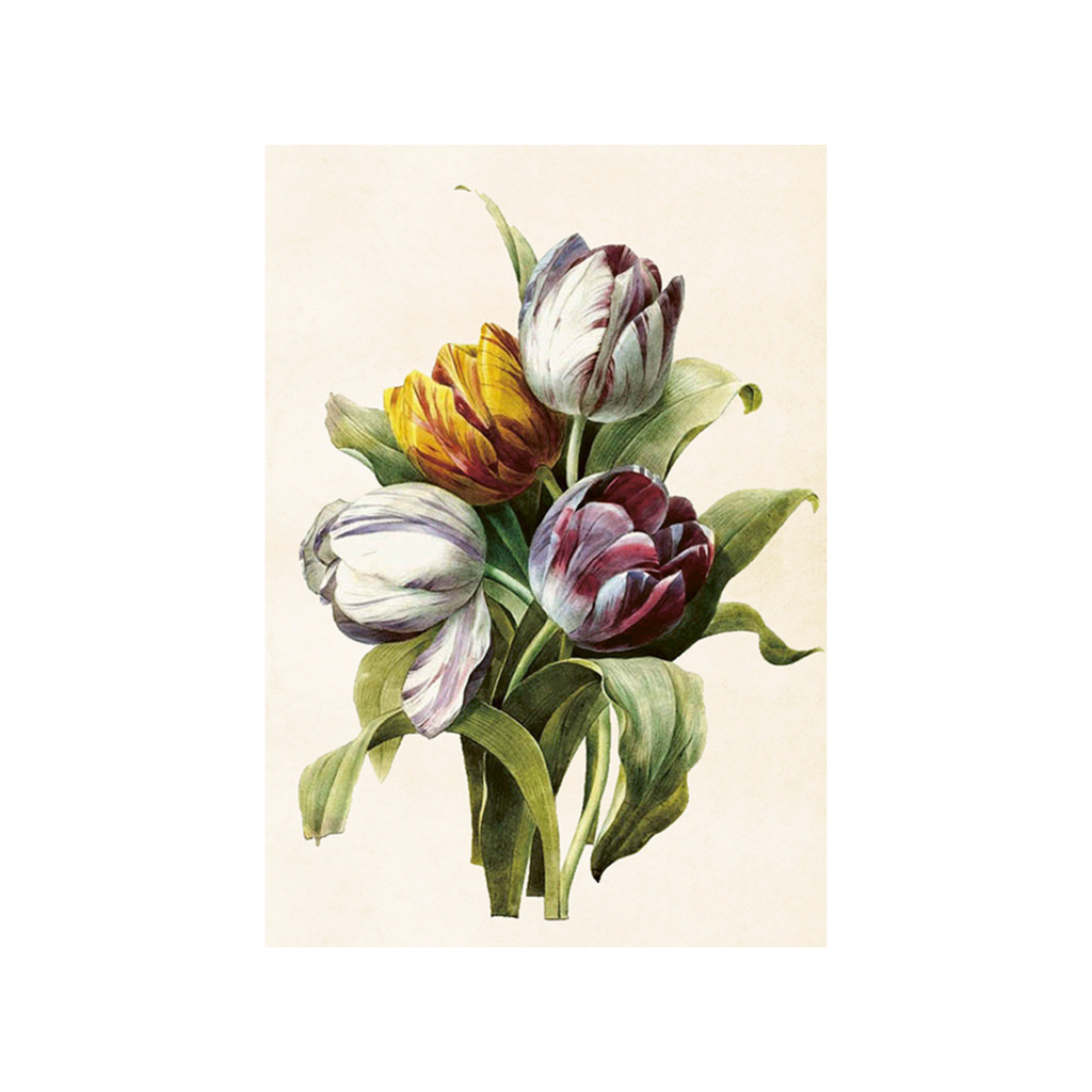 Tulips - Skona Ting Poster 18 x 24 cm