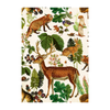 Greeting Cards with Envelops - 12 x 17 cm