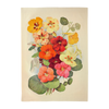 Kitchen Towels - Skona Ting