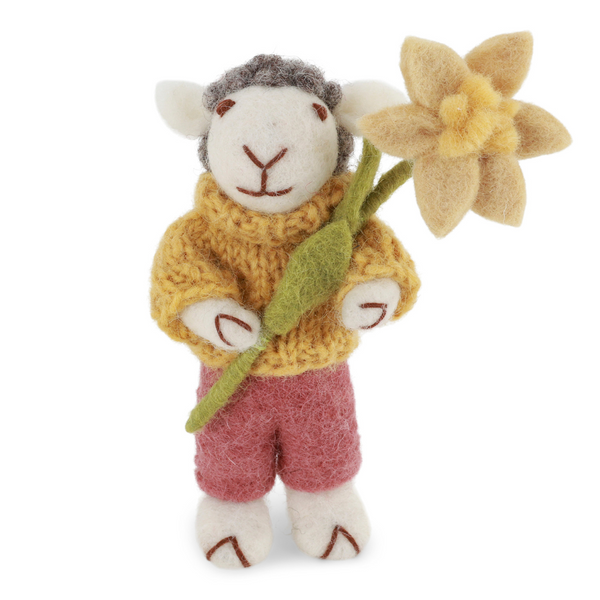Boy Sheep