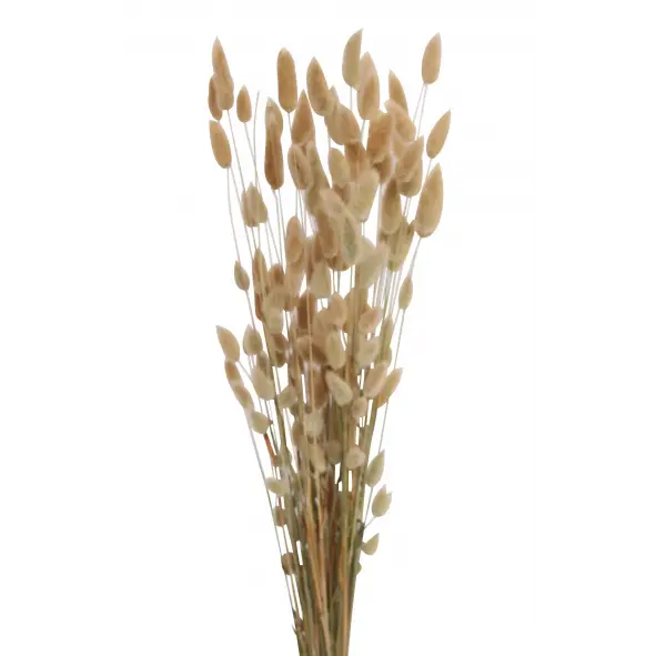 Dried Bunny Tails - Natural