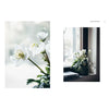 Green Christmas - Wreaths and Floral Arrangements