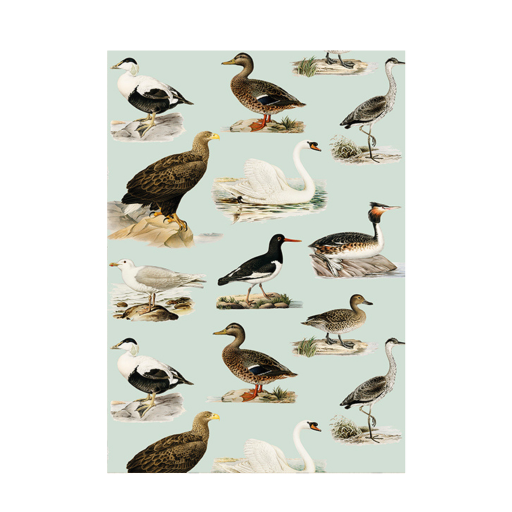 Greeting Cards with Envelops - 12 x 17 cm