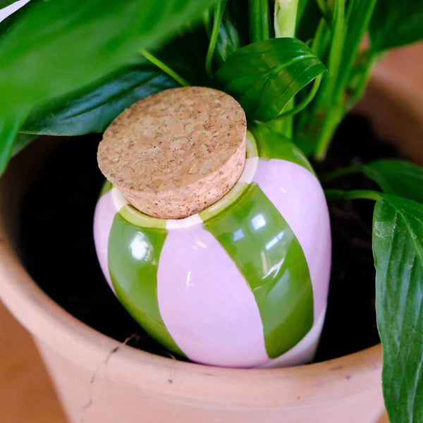 Planter Olla - Green & Lilac Striped