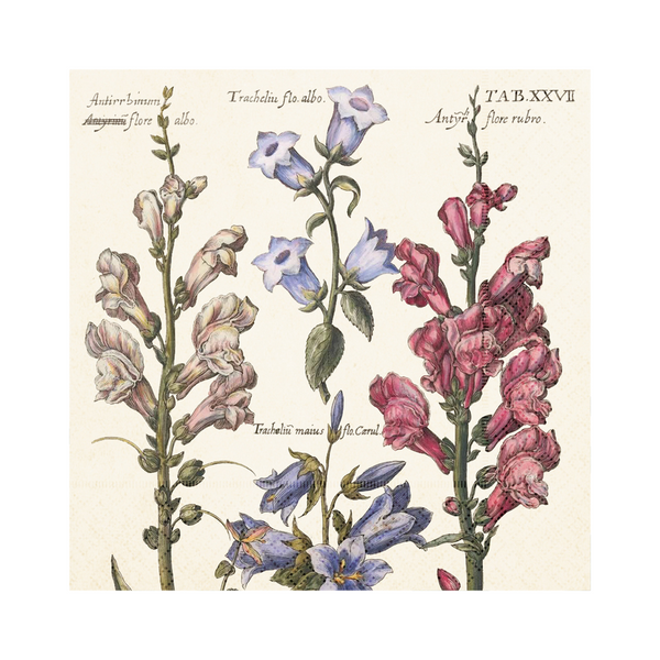 Paper - Lunch Napkins - 33 x 33 cm