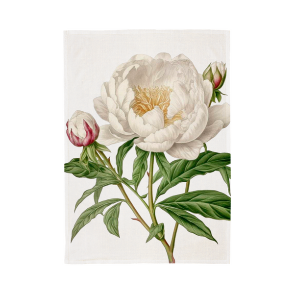 Kitchen Towels - 50 x 70 cm