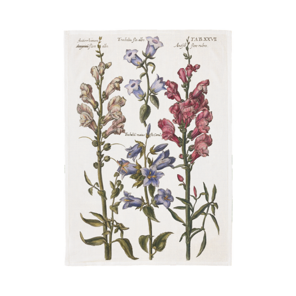 Kitchen Towels - 50 x 70 cm