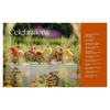 Designing with Dried Flowers: Creating Everlasting Arrangements