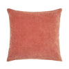 Velvet Soft Pillows