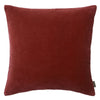 Velvet Soft Pillows