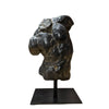 Apollo's Torso