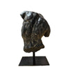 Apollo's Torso