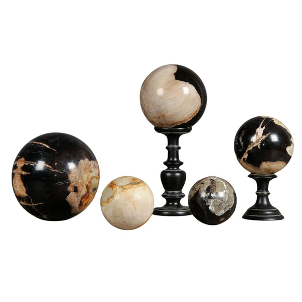 Set of 5 Petrified Wood Balls