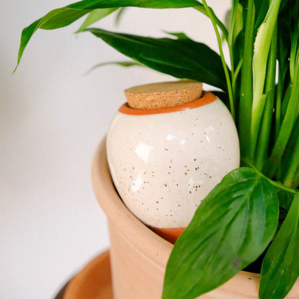 Planter Olla - Speckled White