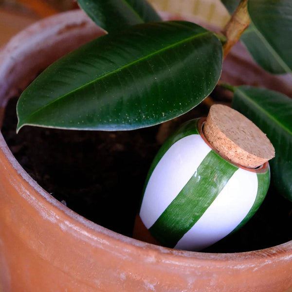 Planter Olla - Green & White Striped