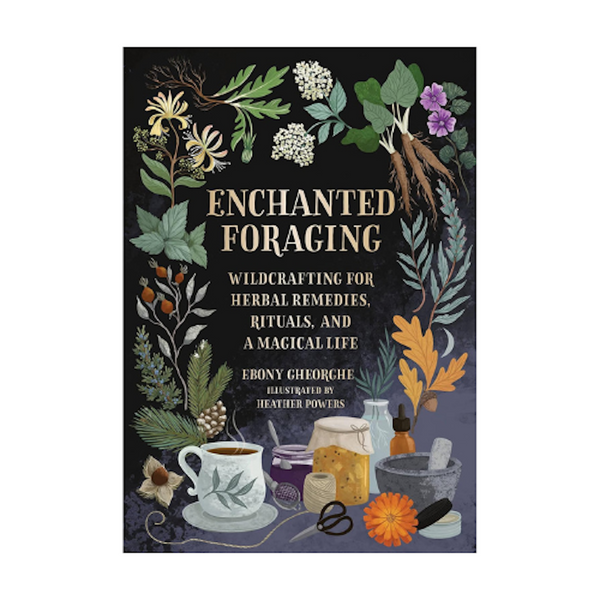 Enchanted Foraging - Wildcrafting for Herbal Remedies, Rituals and a Magical  Life