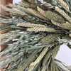 Mixed Green Grains Wreath