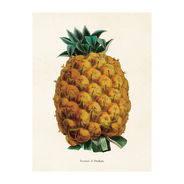 Pineapple - Poster 18 x 24 cm