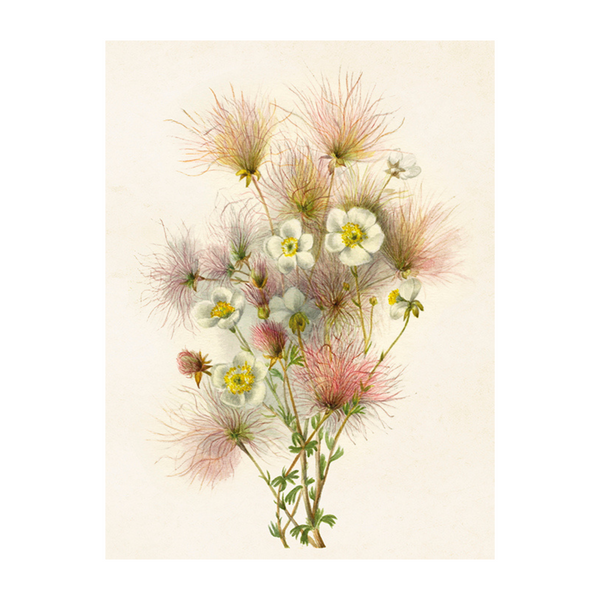 Bouquet - Poster 18 x 24 cm