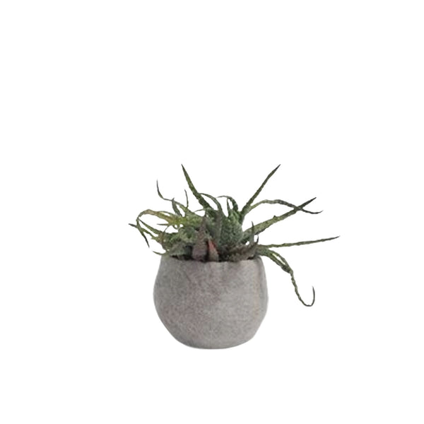Aveva Design Rounded Wool Flower Pot