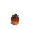 Aveva Design Wool Cylindrical Ombre Flower Pot