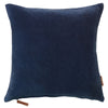 Velvet Soft Pillows