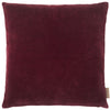 Velvet Soft Pillows