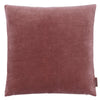 Velvet Soft Pillows