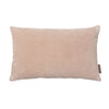 Small Velvet Soft Pillows