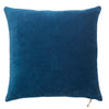 Velvet Soft Pillows