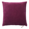 Velvet Soft Pillows