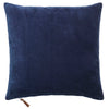 Velvet Soft Pillows