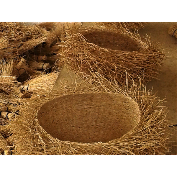 Vetiver Nest