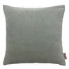 Velvet Soft Pillows