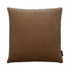 Velvet Soft Pillows