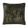 Lush Velvet Cushion