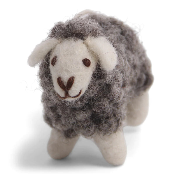 Mini Sheep