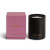 Discovery Collection Candles