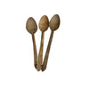 European Antique Spoons