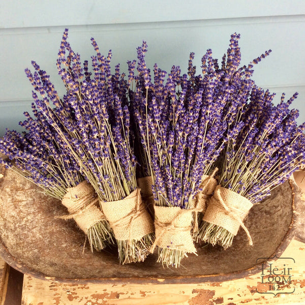 Dried Local Lavender Bundle